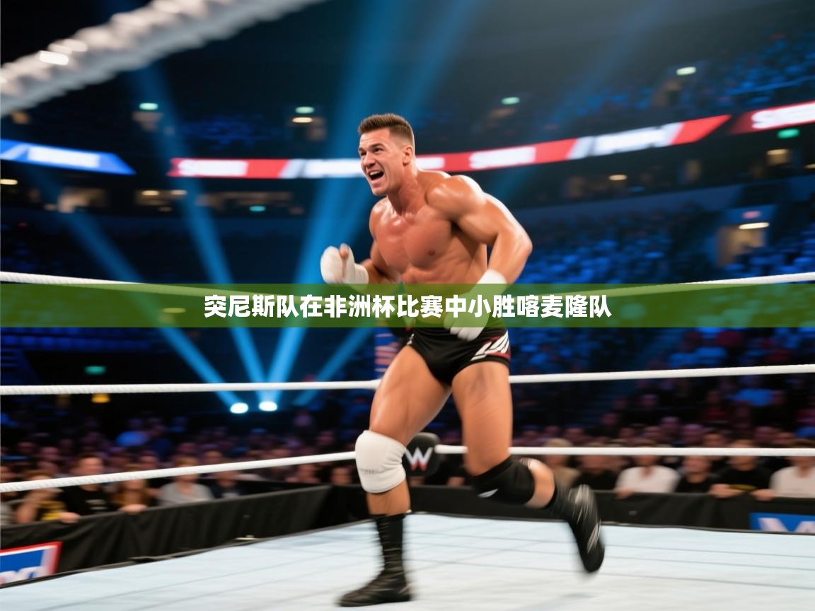 突尼斯队在非洲杯比赛中小胜喀麦隆队 第1张