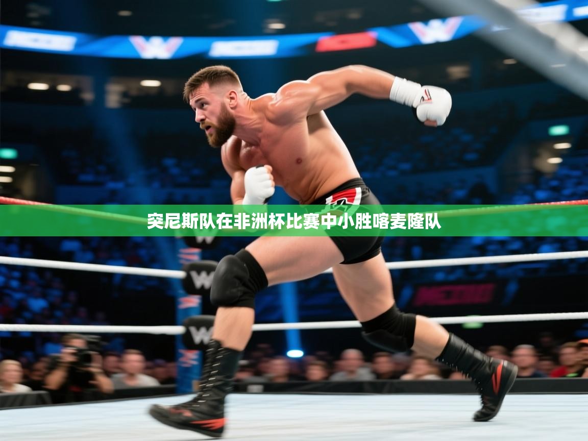 突尼斯队在非洲杯比赛中小胜喀麦隆队 第2张