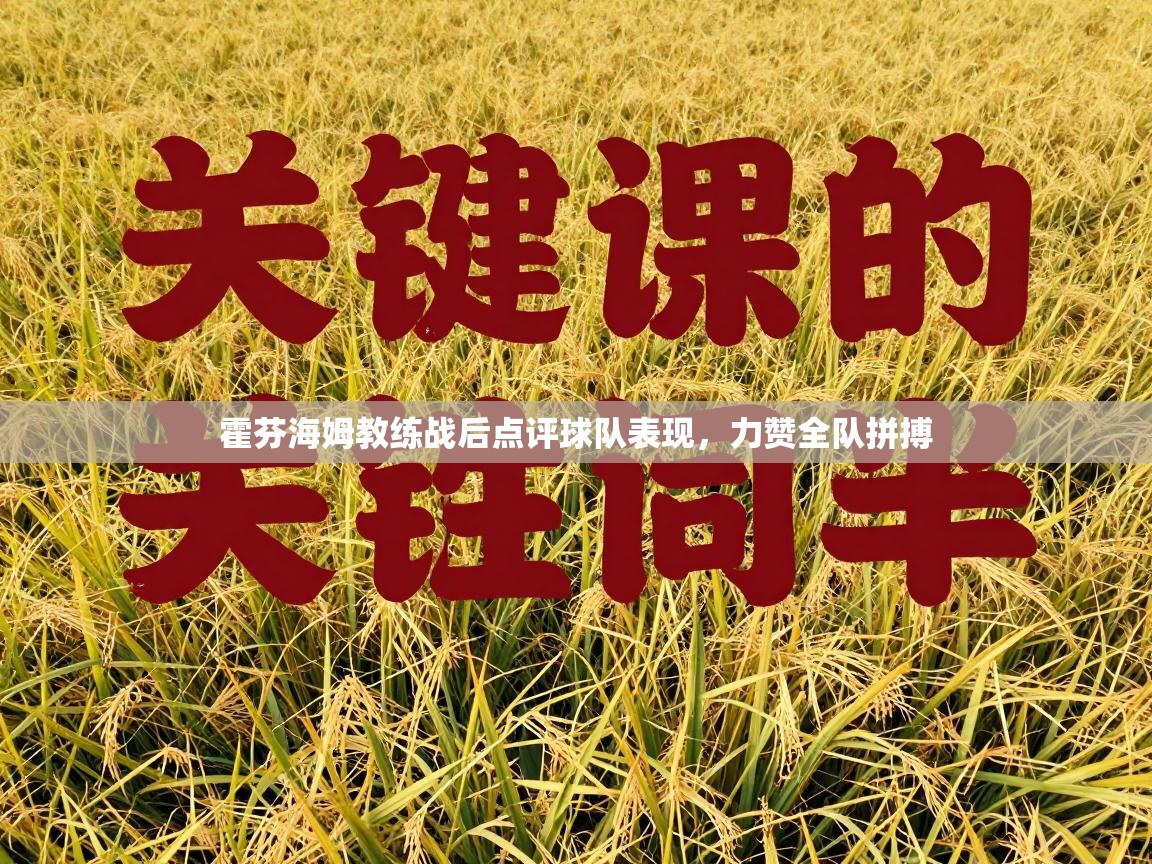 霍芬海姆教练战后点评球队表现,力赞全队拼搏 第2张