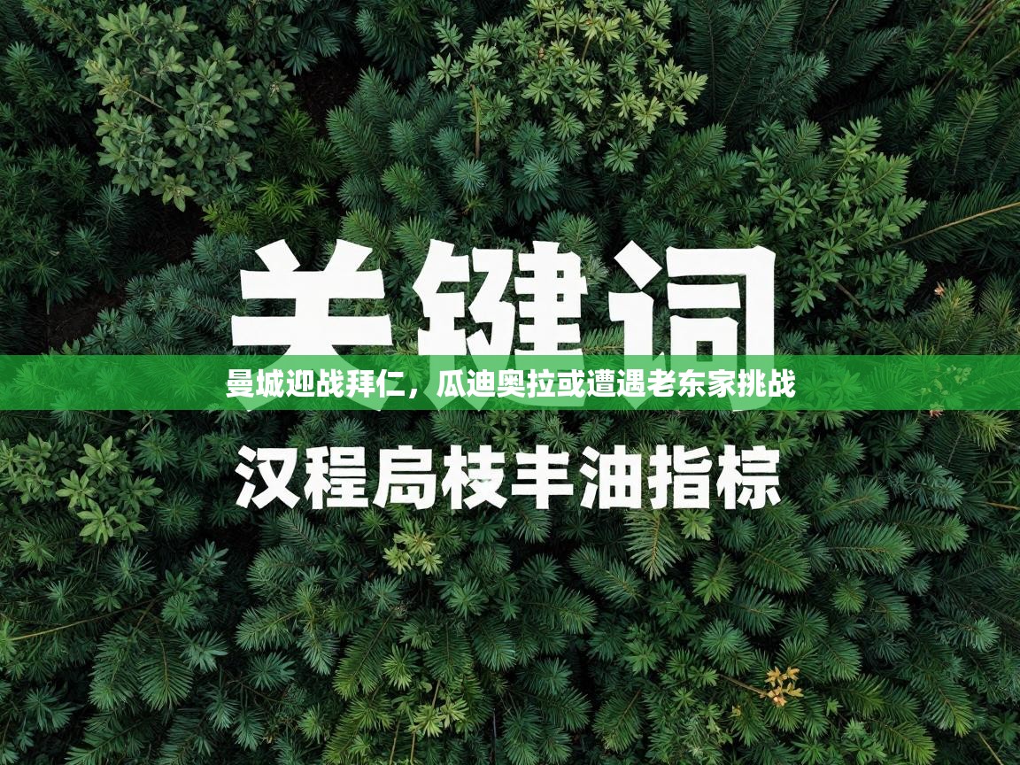 曼城迎战拜仁，瓜迪奥拉或遭遇老东家挑战  第2张